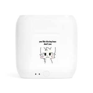 Wireless Earbuds Case — Cute Cat Design with "you like kissing boys don't you" Text